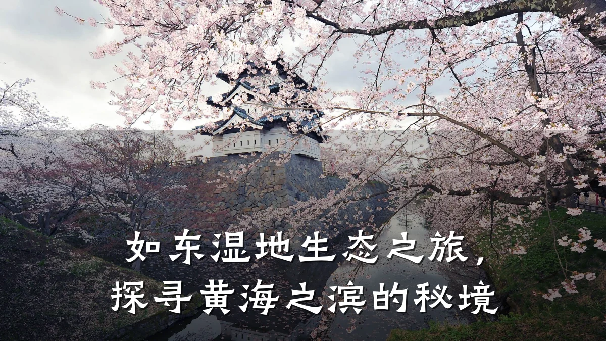 如东湿地生态之旅,探寻黄海之滨的秘境