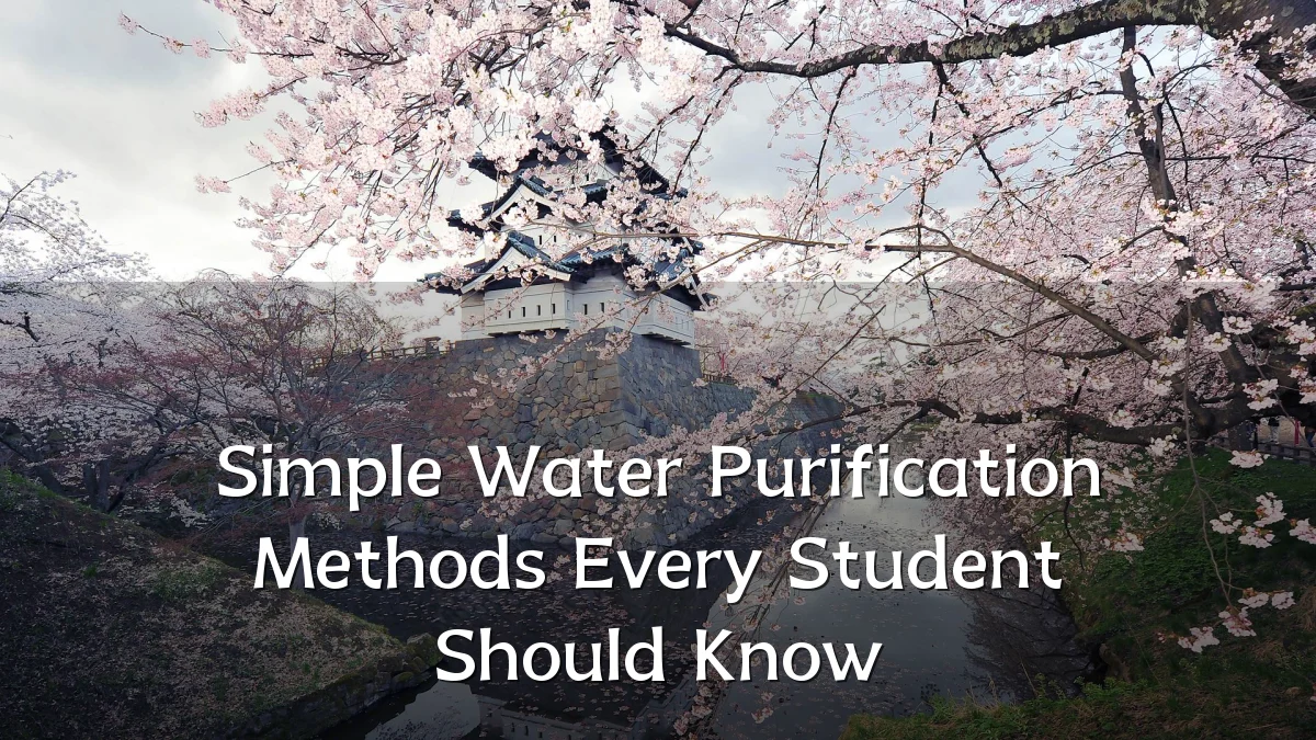 Simple Water Purification Methods Every Student Should Know