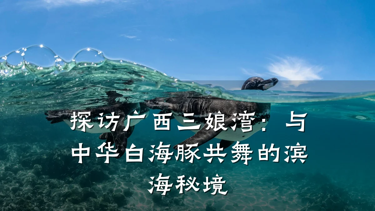 探访广西三娘湾:与中华白海豚共舞的滨海秘境