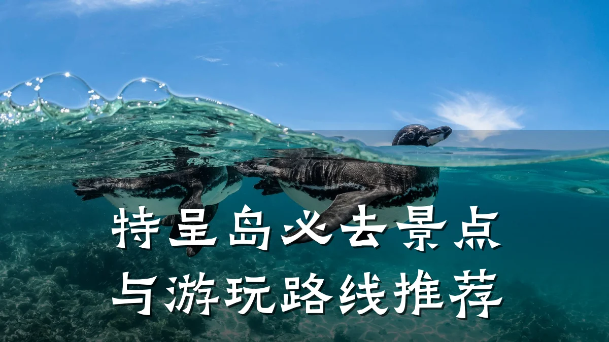 特呈岛必去景点与游玩路线推荐