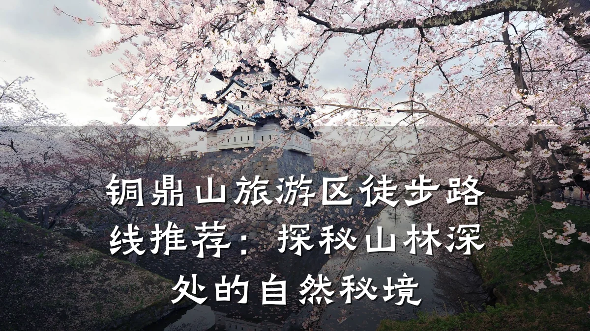 铜鼎山旅游区徒步路线推荐：探秘山林深处的自然秘境