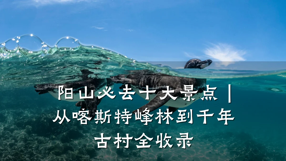 阳山必去十大景点|从喀斯特峰林到千年古村全收录