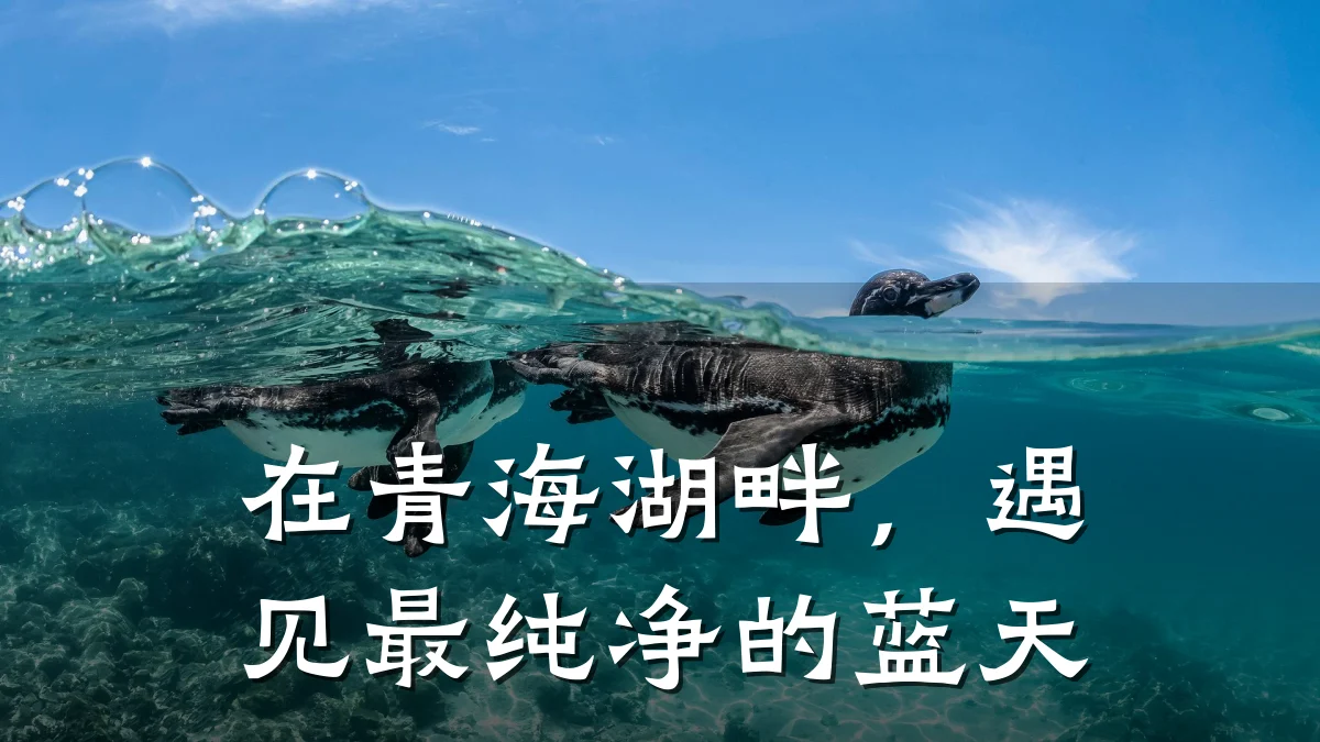 在青海湖畔，遇见最纯净的蓝天