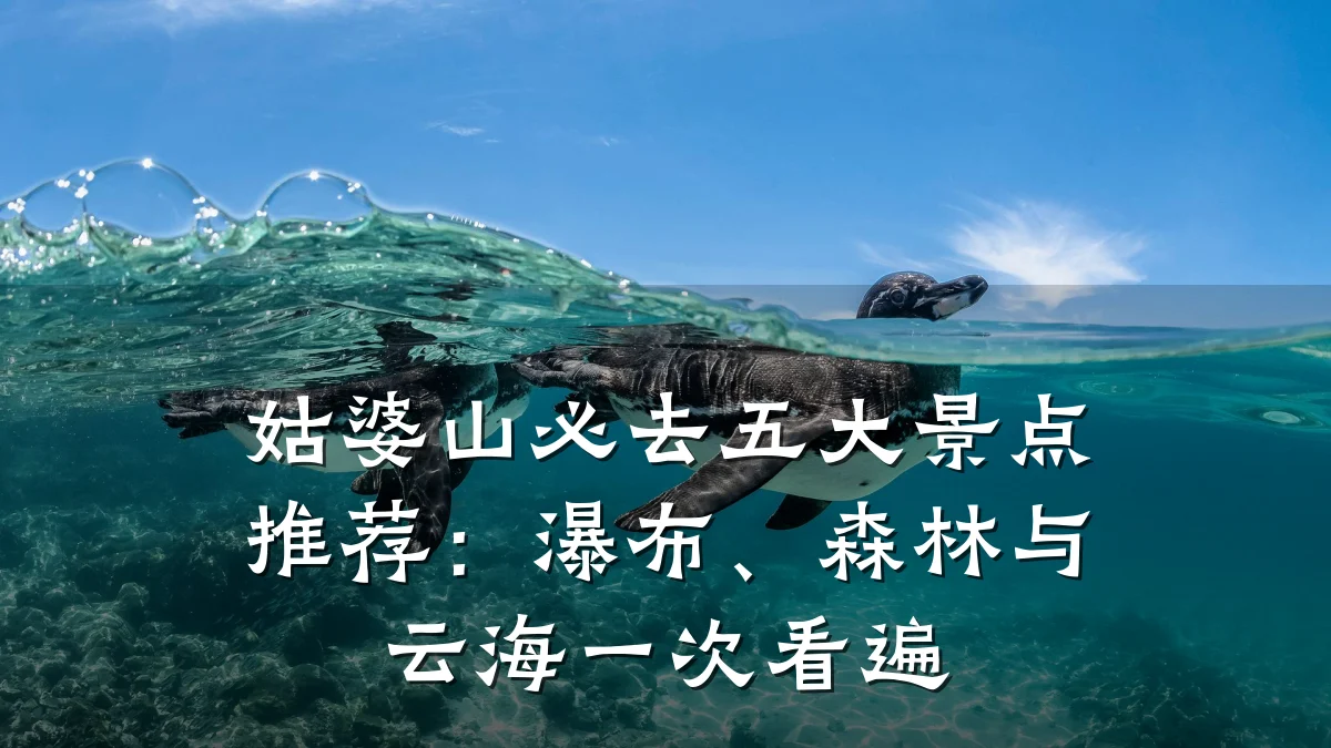 姑婆山必去五大景点推荐：瀑布、森林与云海一次看遍