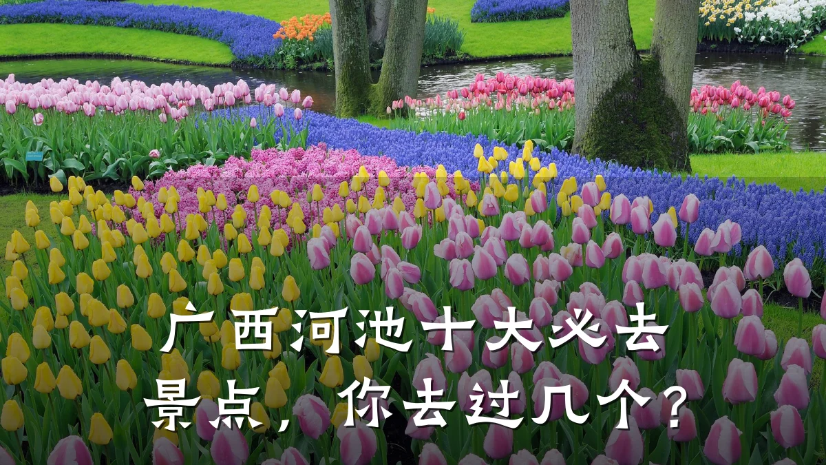 广西河池十大必去景点，你去过几个？