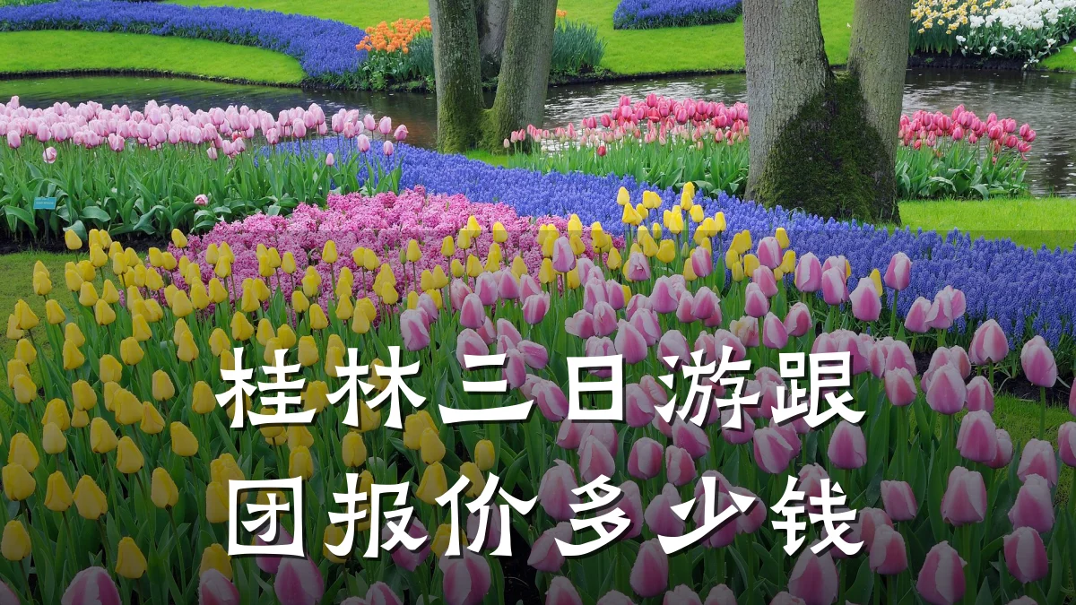 桂林三日游跟团报价多少钱