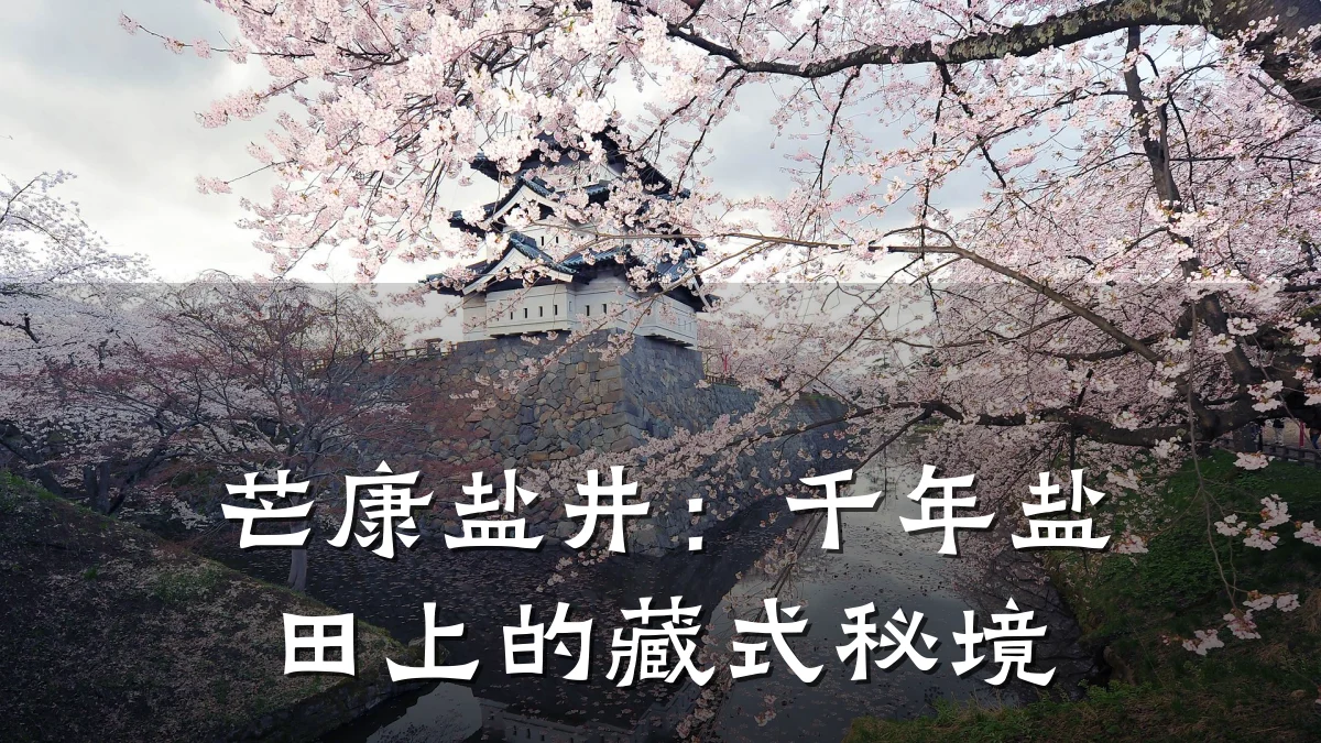 芒康盐井：千年盐田上的藏式秘境
