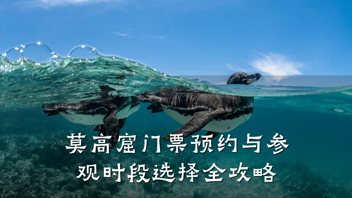 莫高窟门票预约与参观时段选择全攻略