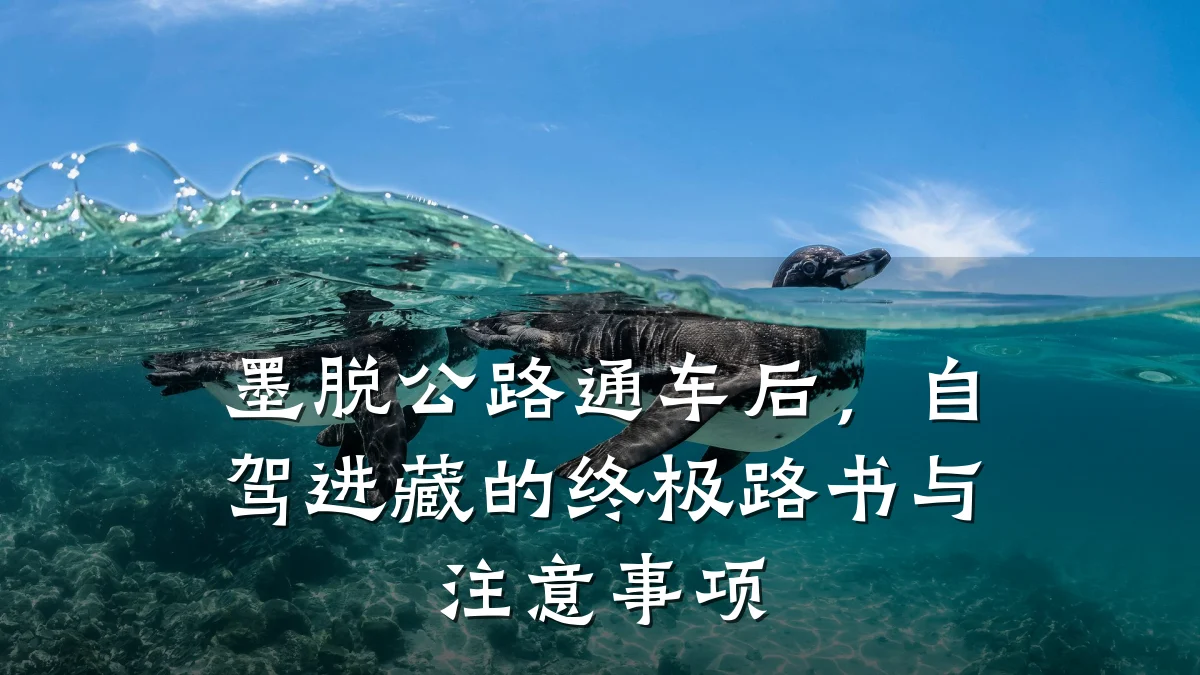 墨脱公路通车后，自驾进藏的终极路书与注意事项