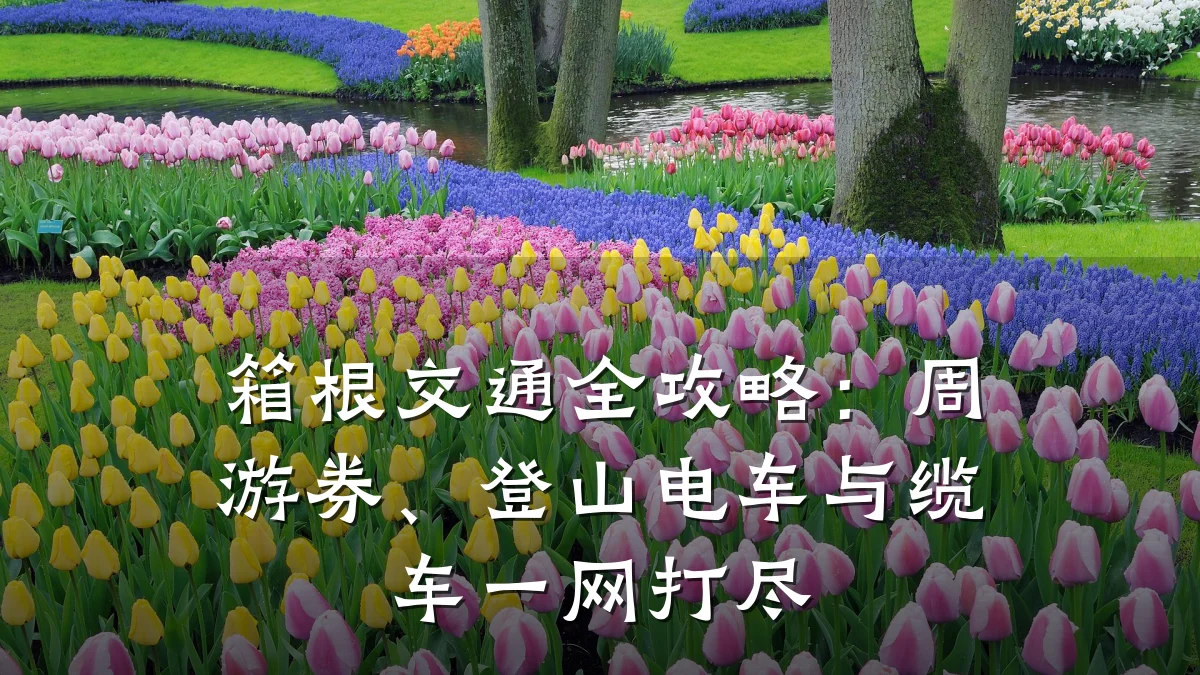 箱根交通全攻略：周游券、登山电车与缆车一网打尽