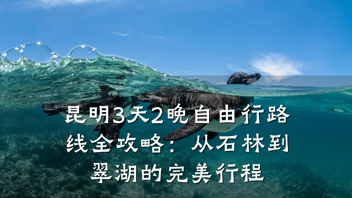 昆明3天2晚自由行路线全攻略：从石林到翠湖的完美行程