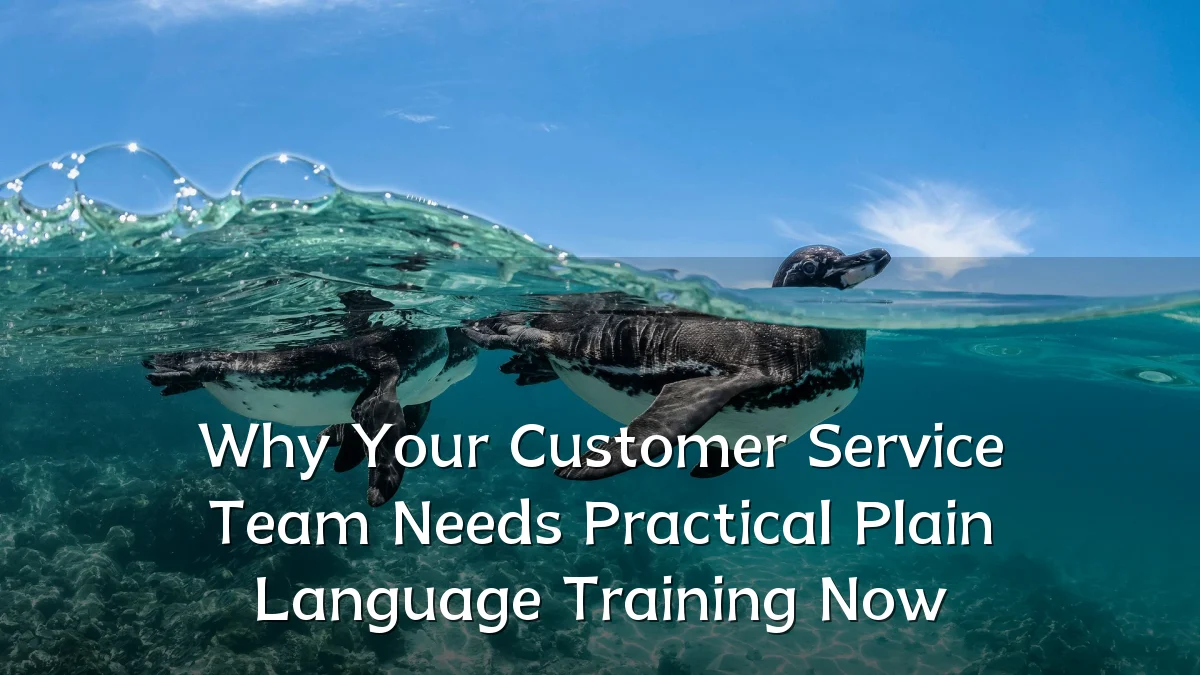 Why Your Customer Service Team Needs Practical Plain Language Training Now