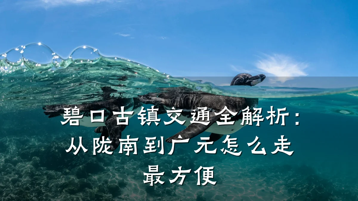 碧口古镇交通全解析:从陇南到广元怎么走最方便