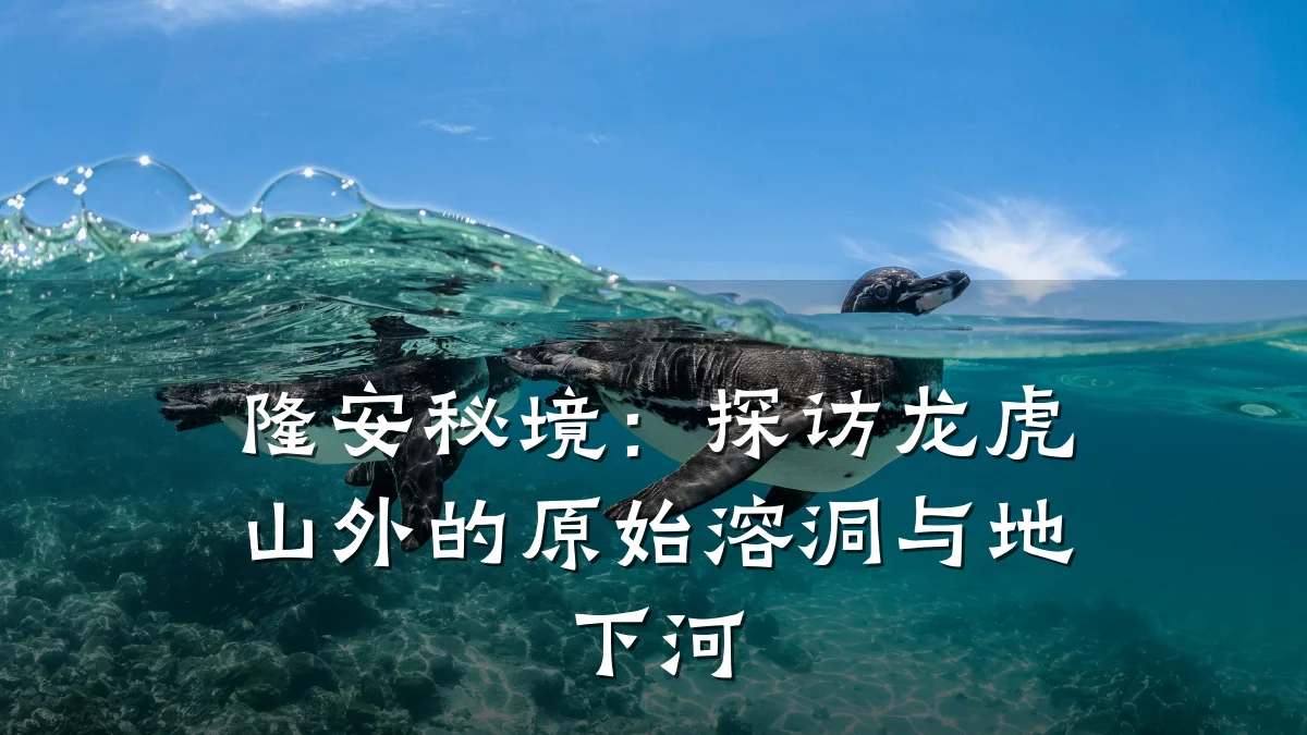 隆安秘境:探访龙虎山外的原始溶洞与地下河