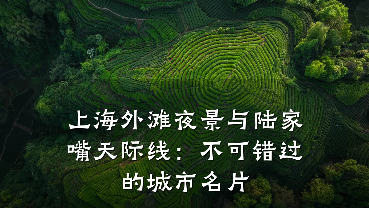 上海外滩夜景与陆家嘴天际线:不可错过的城市名片