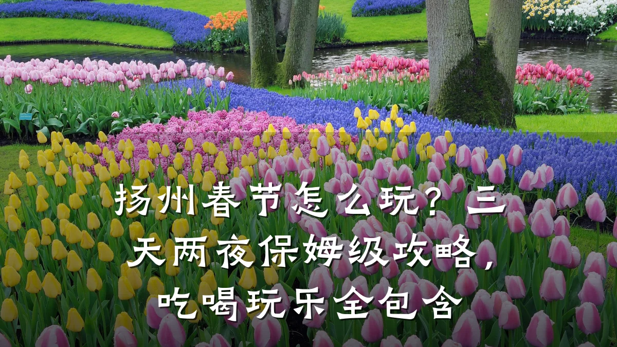 扬州春节怎么玩？三天两夜保姆级攻略，吃喝玩乐全包含