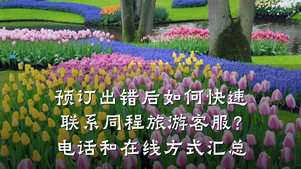 预订出错后如何快速联系同程旅游客服?电话和在线方式汇总