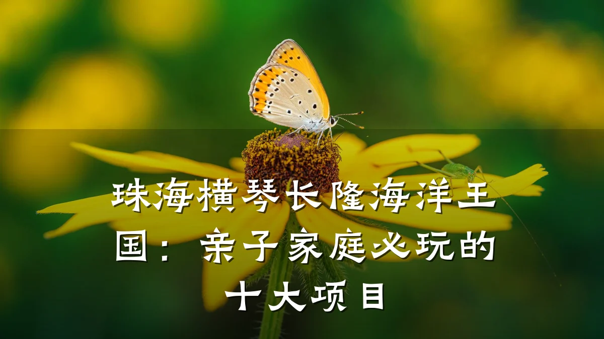 珠海横琴长隆海洋王国：亲子家庭必玩的十大项目