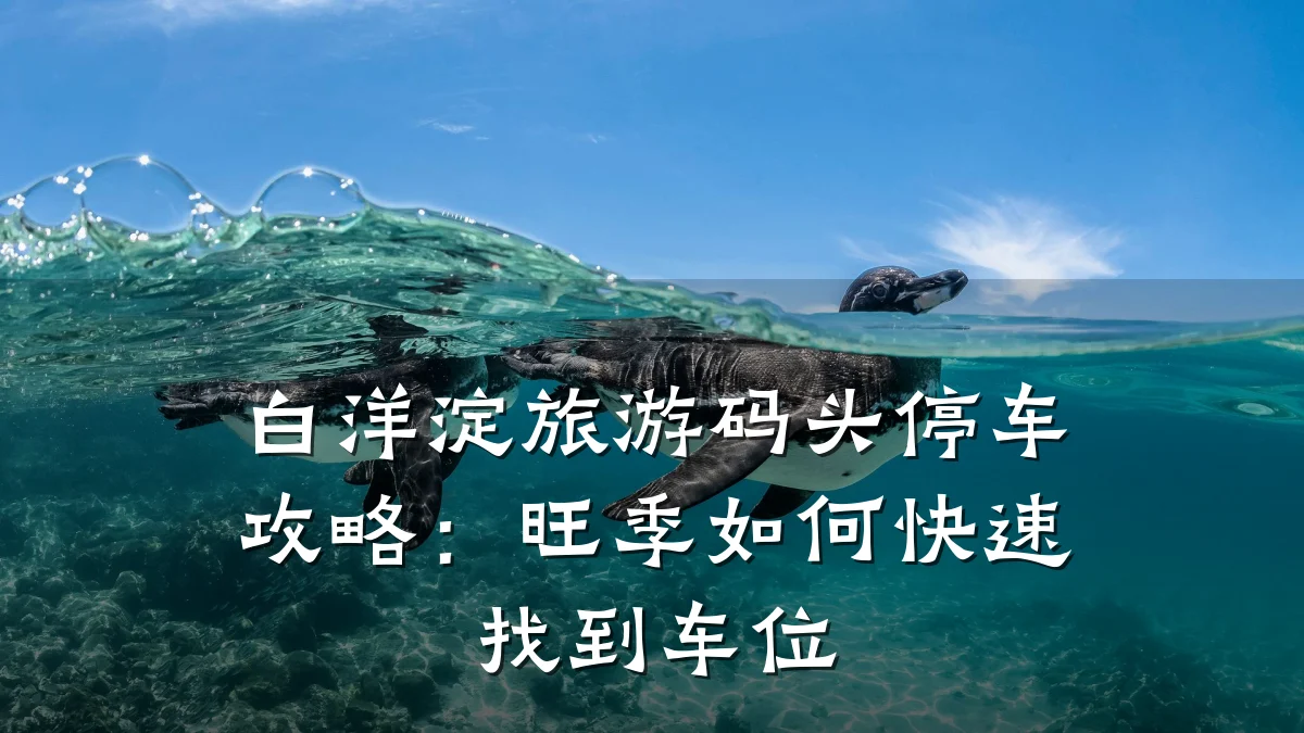 白洋淀旅游码头停车攻略:旺季如何快速找到车位