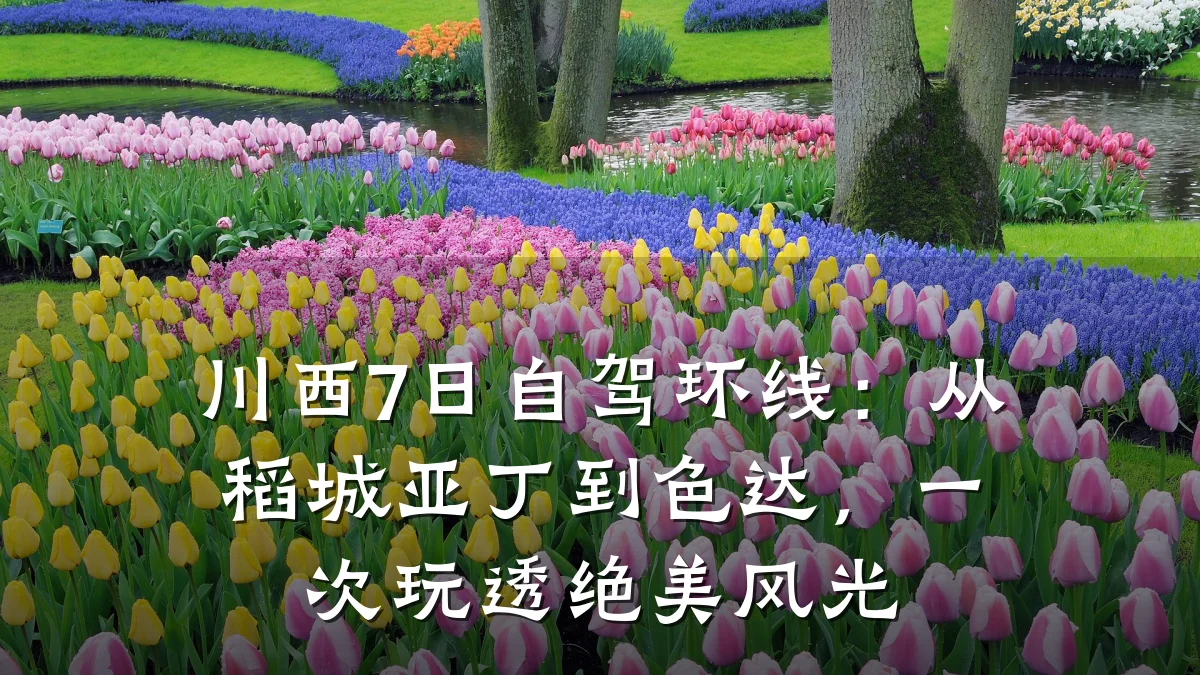 川西7日自驾环线：从稻城亚丁到色达，一次玩透绝美风光