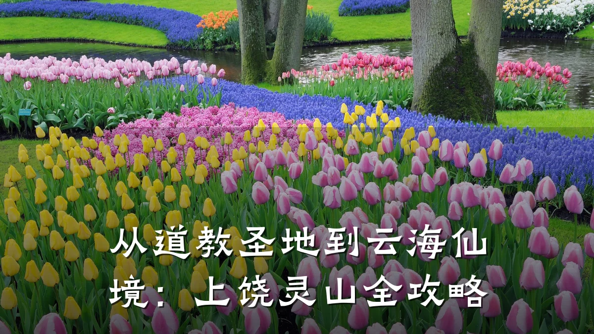 从道教圣地到云海仙境：上饶灵山全攻略