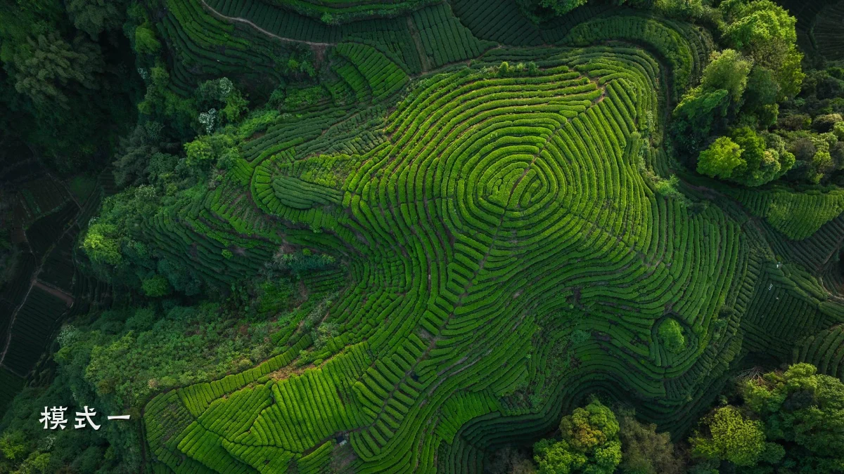 模式一