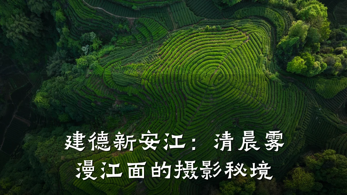 建德新安江：清晨雾漫江面的摄影秘境