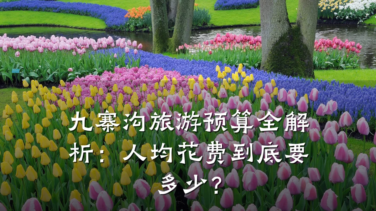 九寨沟旅游预算全解析:人均花费到底要多少?