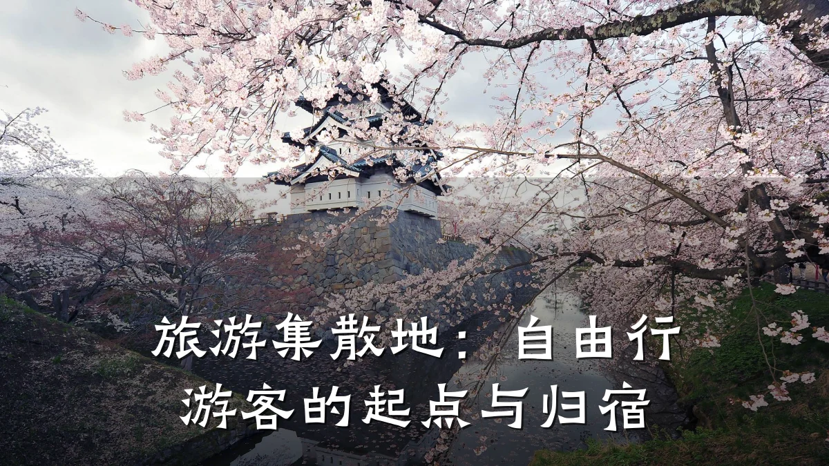 旅游集散地：自由行游客的起点与归宿