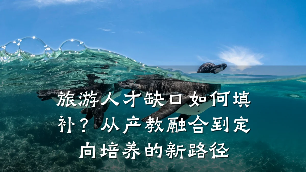 旅游人才缺口如何填补？从产教融合到定向培养的新路径