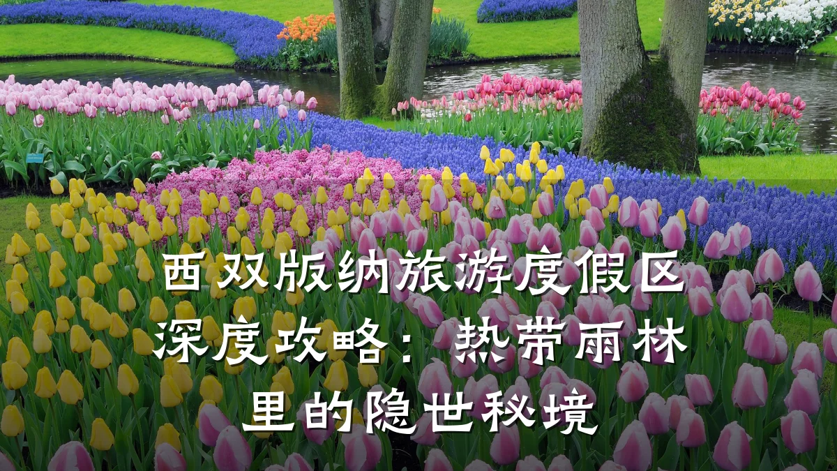 西双版纳旅游度假区深度攻略:热带雨林里的隐世秘境
