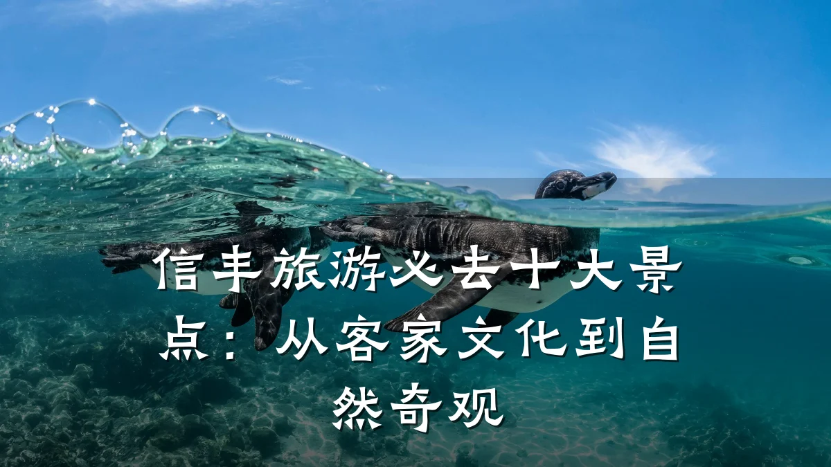 信丰旅游必去十大景点：从客家文化到自然奇观