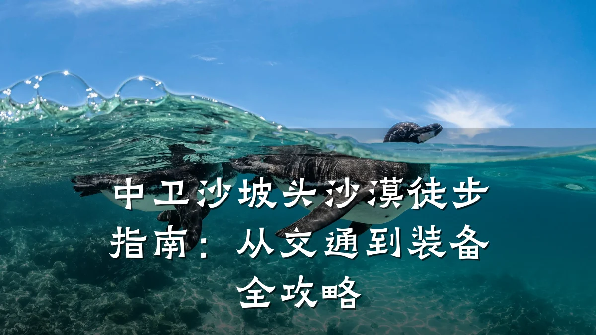 中卫沙坡头沙漠徒步指南:从交通到装备全攻略