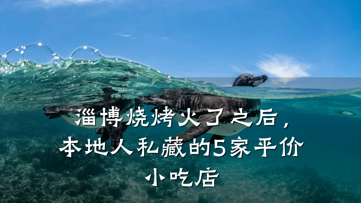 淄博烧烤火了之后，本地人私藏的5家平价小吃店