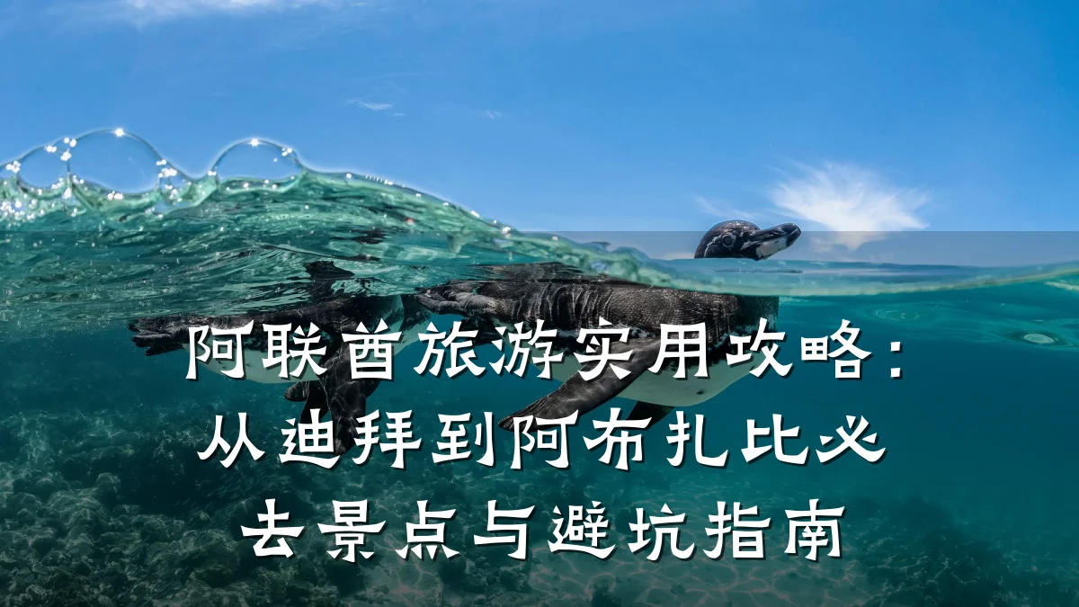 阿联酋旅游实用攻略：从迪拜到阿布扎比必去景点与避坑指南