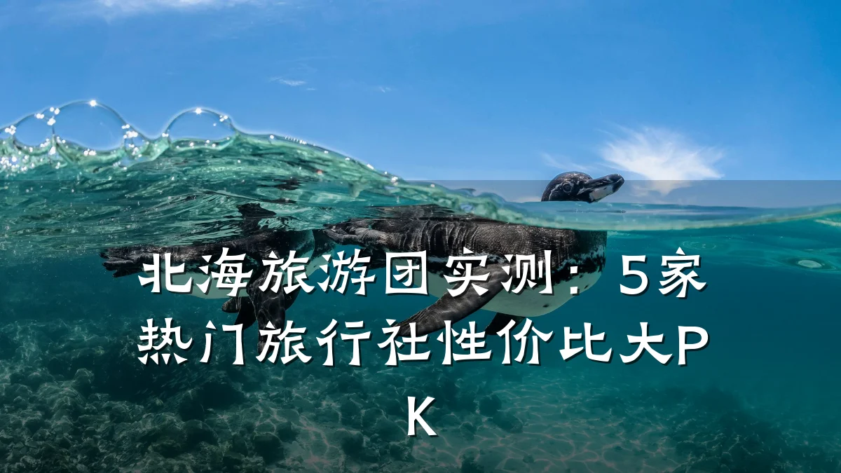 北海旅游团实测：5家热门旅行社性价比大PK