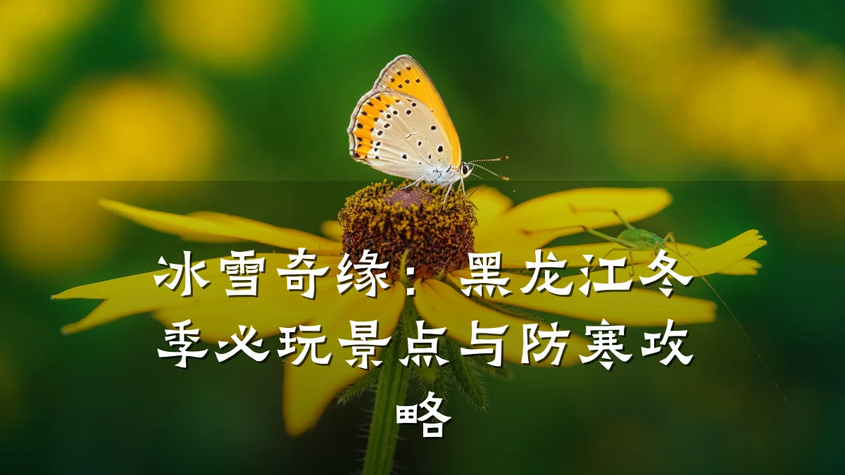 冰雪奇缘：黑龙江冬季必玩景点与防寒攻略
