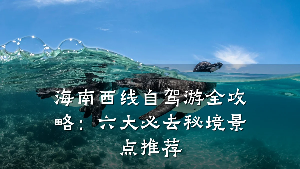 海南西线自驾游全攻略:六大必去秘境景点推荐