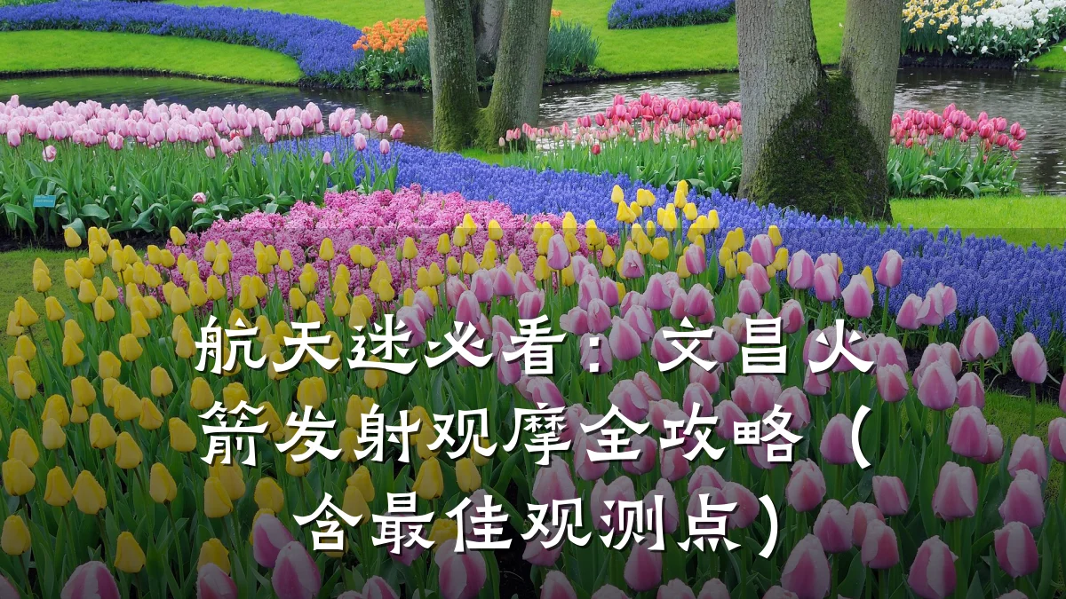 航天迷必看：文昌火箭发射观摩全攻略（含最佳观测点）