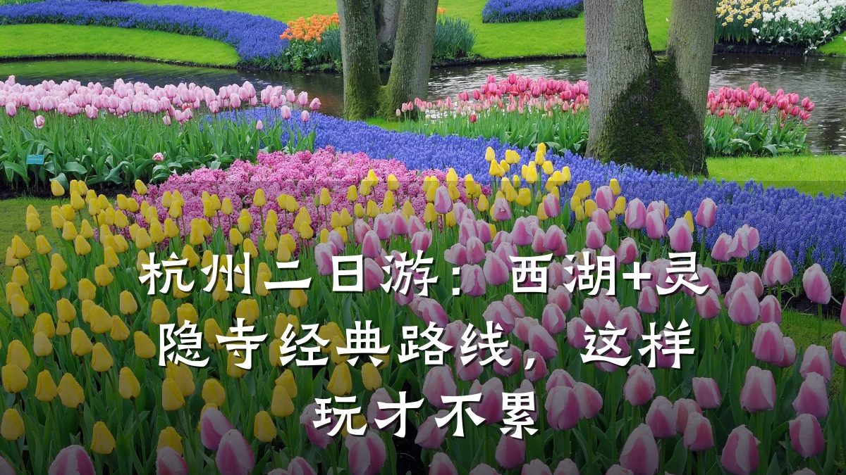 杭州二日游：西湖+灵隐寺经典路线，这样玩才不累