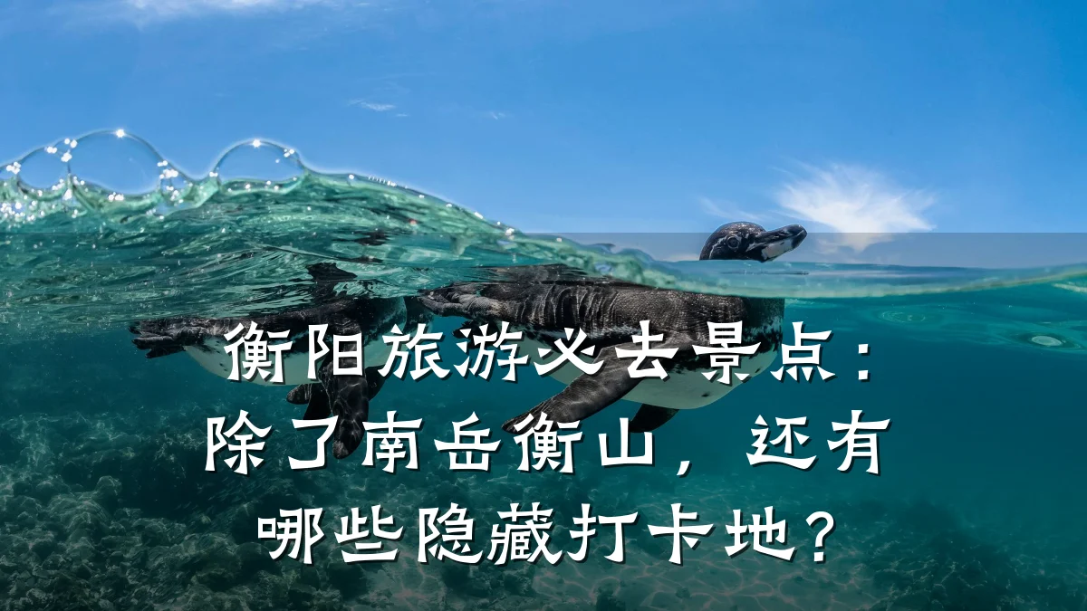 衡阳旅游必去景点：除了南岳衡山，还有哪些隐藏打卡地？