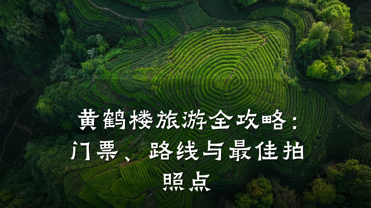 黄鹤楼旅游全攻略：门票、路线与最佳拍照点