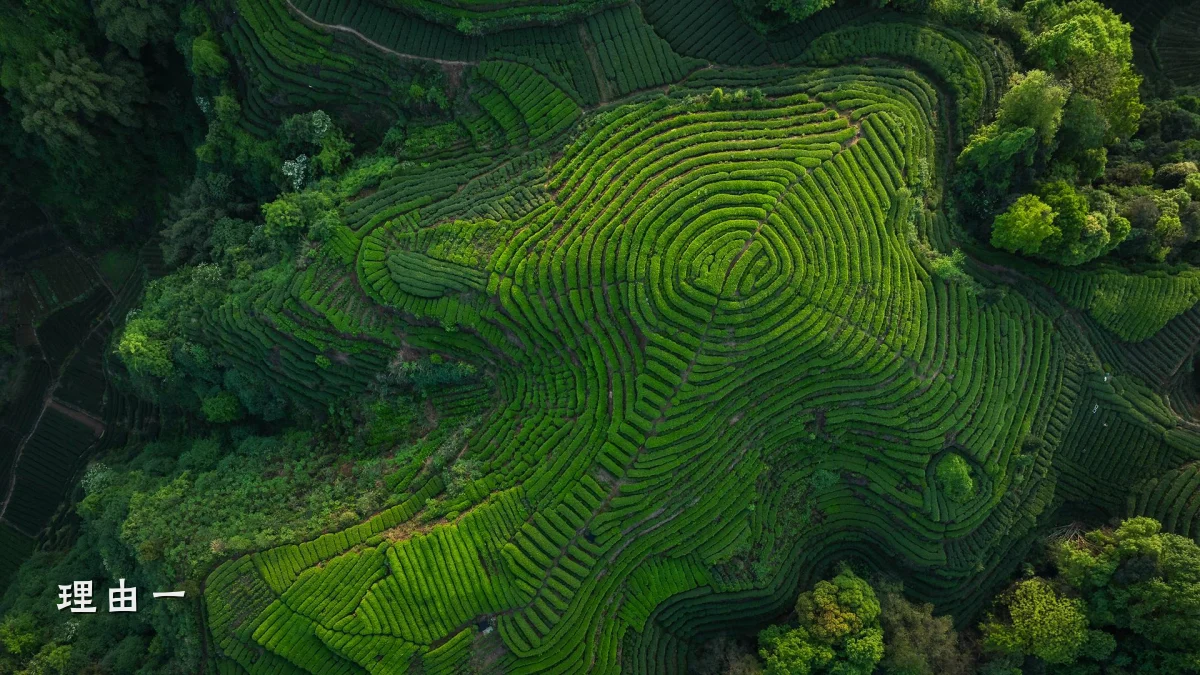 理由一