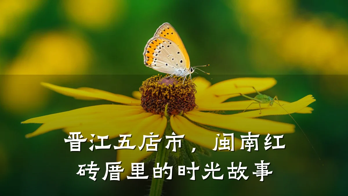 晋江五店市，闽南红砖厝里的时光故事
