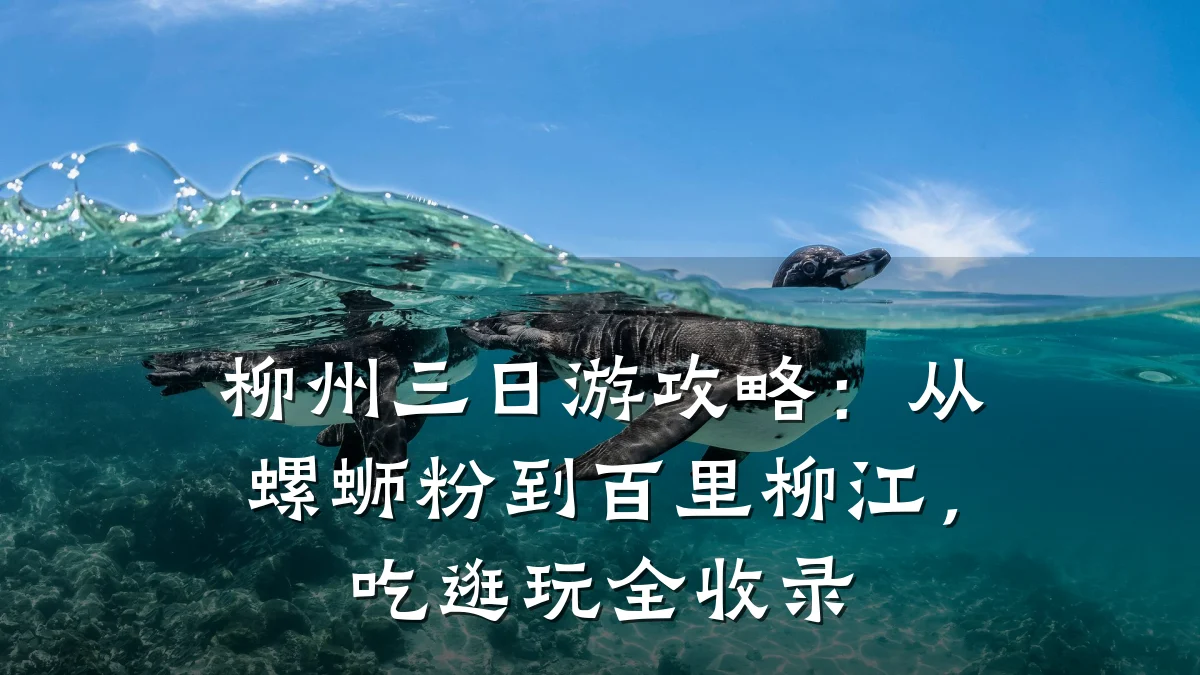 柳州三日游攻略:从螺蛳粉到百里柳江,吃逛玩全收录
