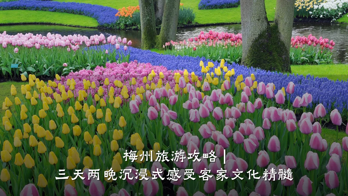 梅州旅游攻略 | 三天两晚沉浸式感受客家文化精髓