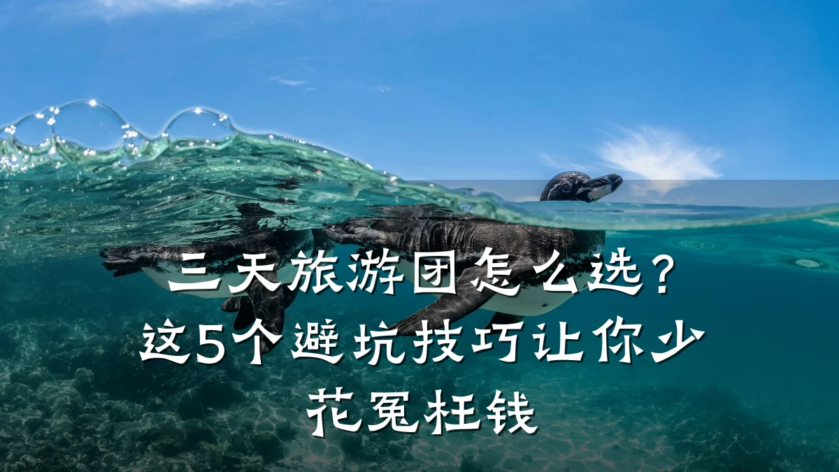 三天旅游团怎么选?这5个避坑技巧让你少花冤枉钱