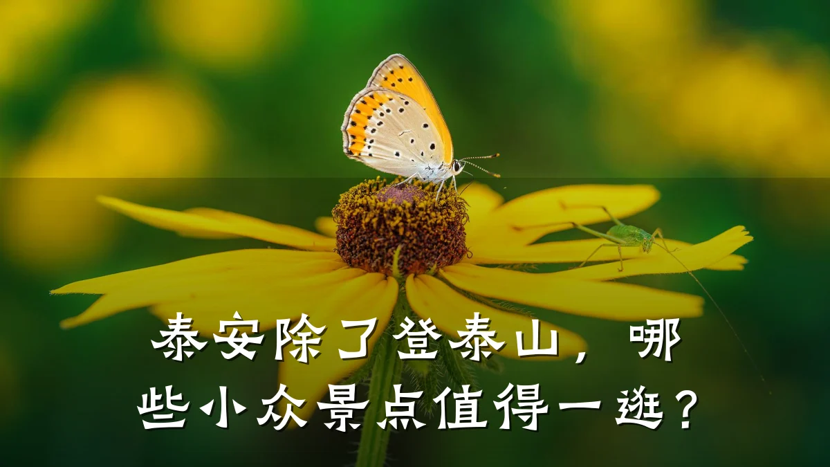 泰安除了登泰山，哪些小众景点值得一逛？