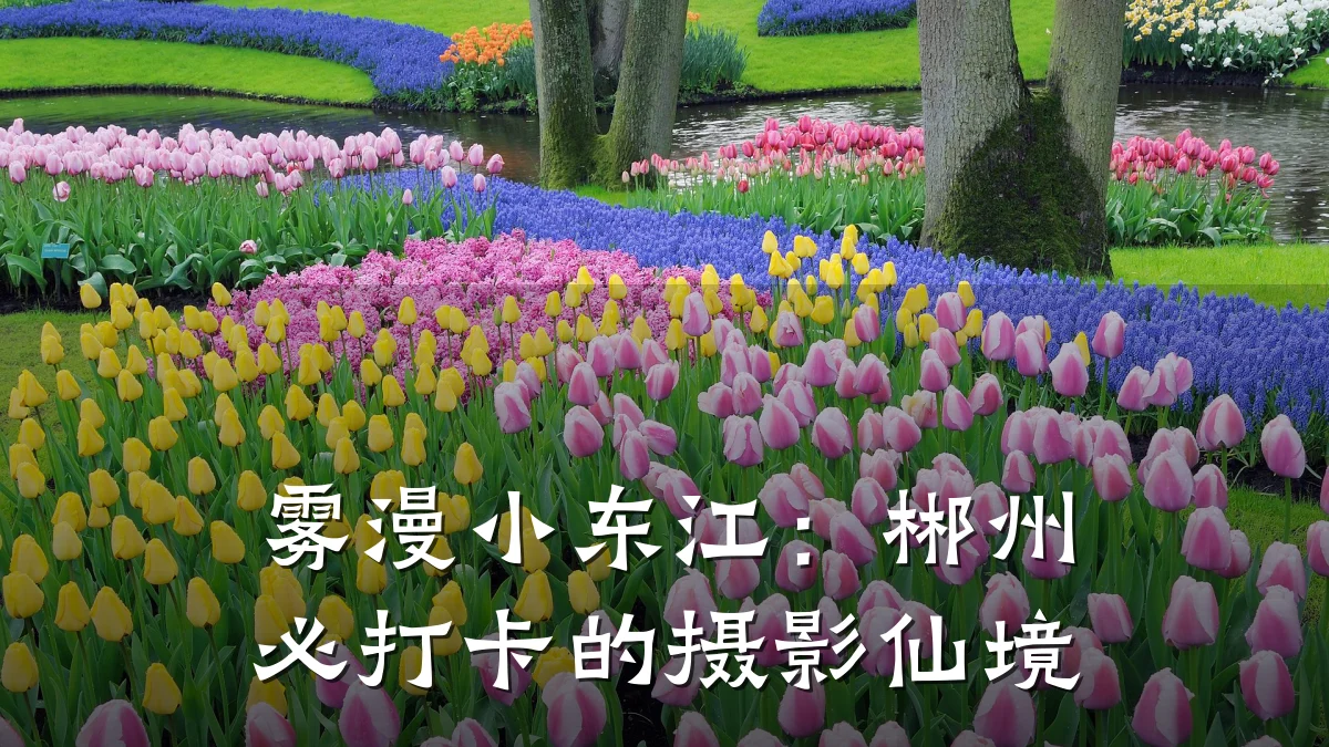雾漫小东江：郴州必打卡的摄影仙境