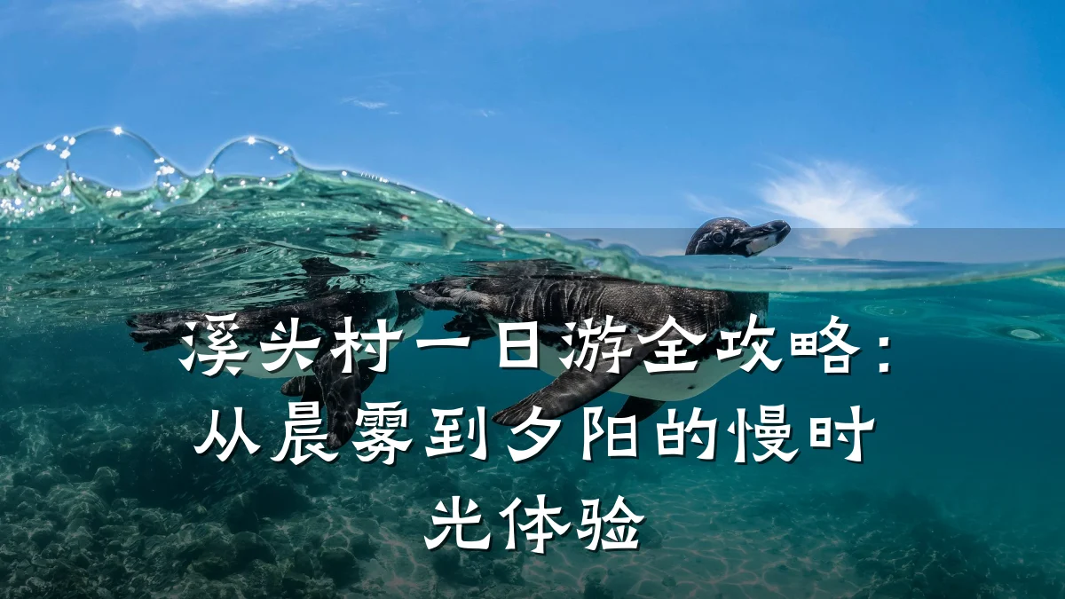 溪头村一日游全攻略：从晨雾到夕阳的慢时光体验